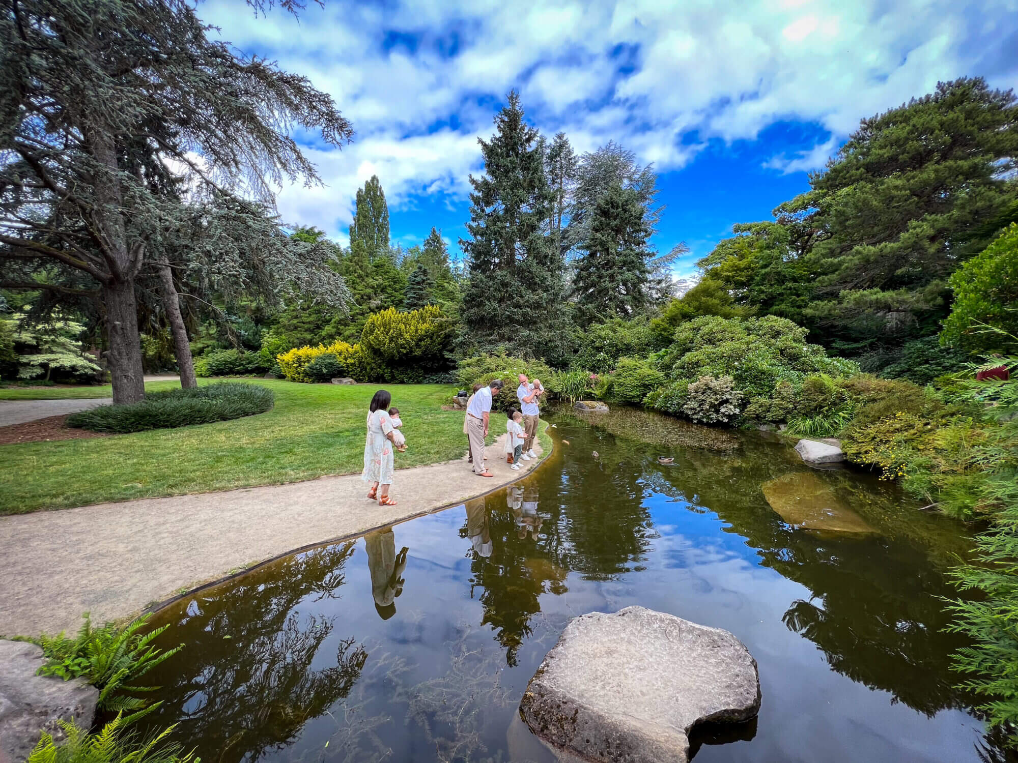 Family with kids looking at the koi fish in the pond at Kubota Japanese Garden in Seattle.