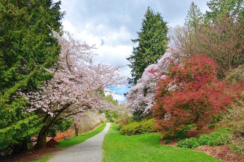 Washington Park Arboretum UW Botanic Gardens