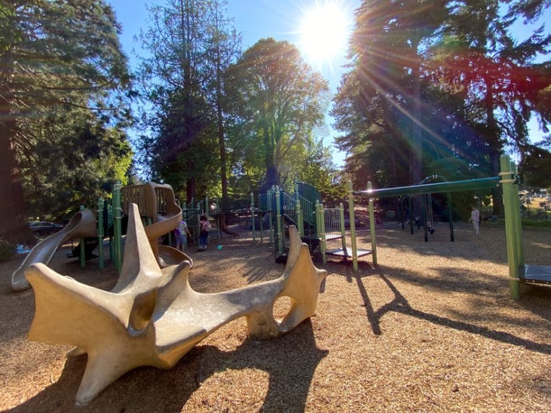 Volunteer Park Playground Dinosaur Bone Playset