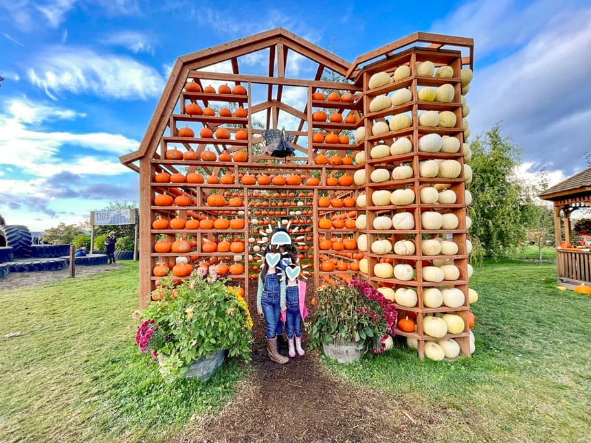 Stocker Farm Life Sized Pumpkin House