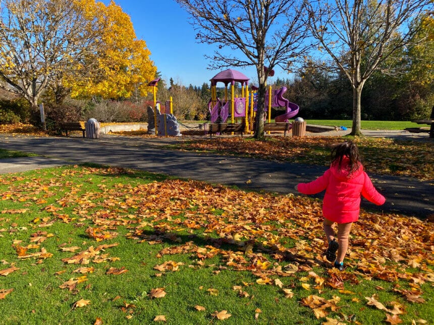 Little girl walking on the grass with orange leaves on the ground at Aubrey Park Playground, Mercer Island, with fall foliage near Seattle.