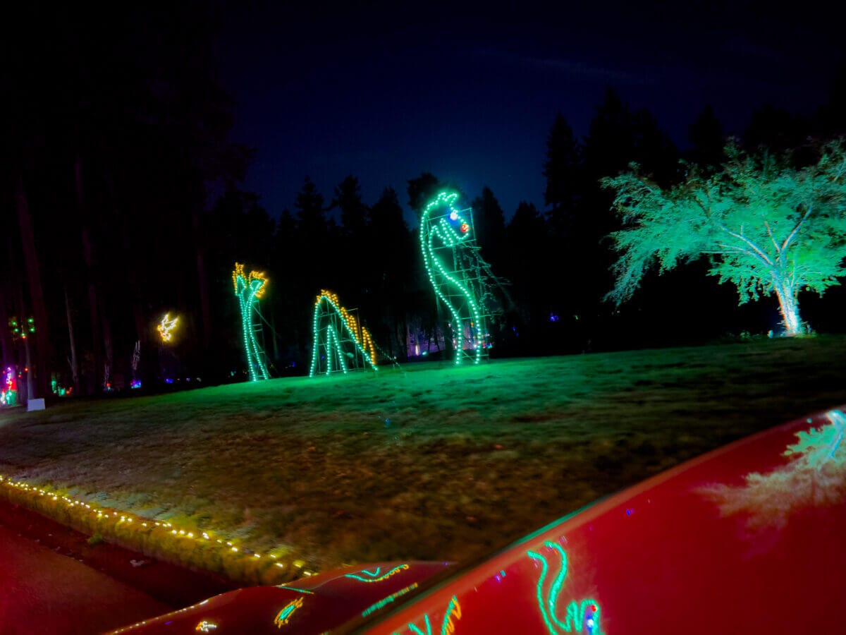 Fantasy Lights • Spanaway • That Sounds Awesome