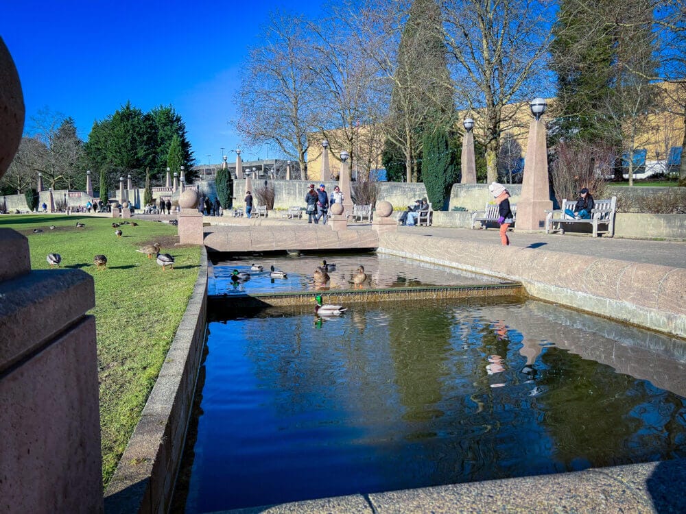 Bellevue Downtown Park’s scenic walking trail loops around a peaceful reflecting pond, making it a relaxing and stroller-friendly walk for families. In this photo, ducks are swimming calmly along the water near the trail, adding a bit of wildlife fun for kids exploring the park.