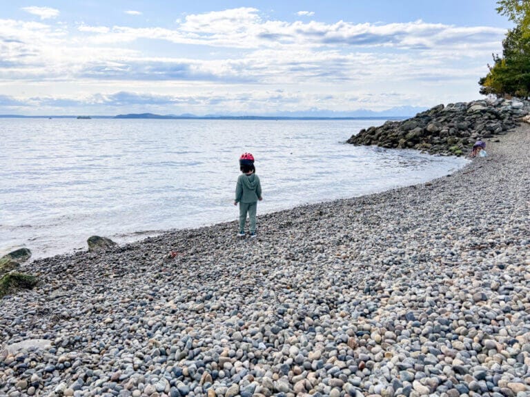Toddler Rock Throwing Time at Elliott Bay Trail Seattle Waterfront Pocket Beach