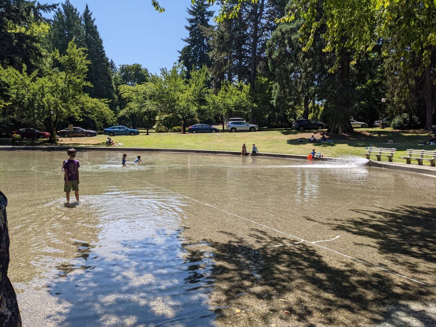 Kids playing in the summer at Volunteer Park Wading Pool in Seattle, our top wading pool in the city.