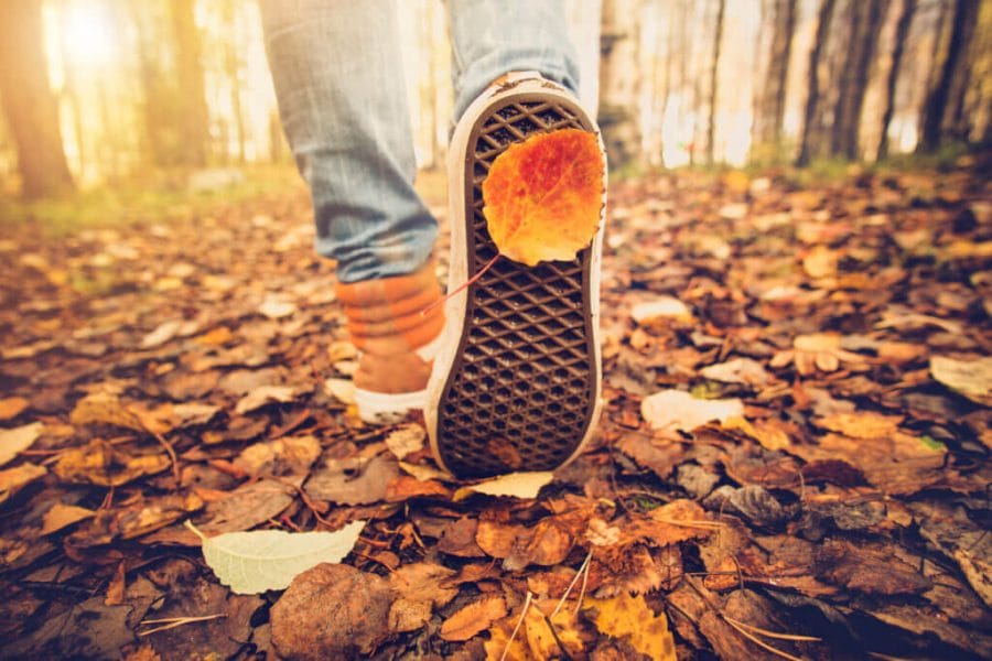 Feet with sneakers walking on fall leaves outdoor during the Autumn season with a leaf on the bottom of the shoe and nature on background.