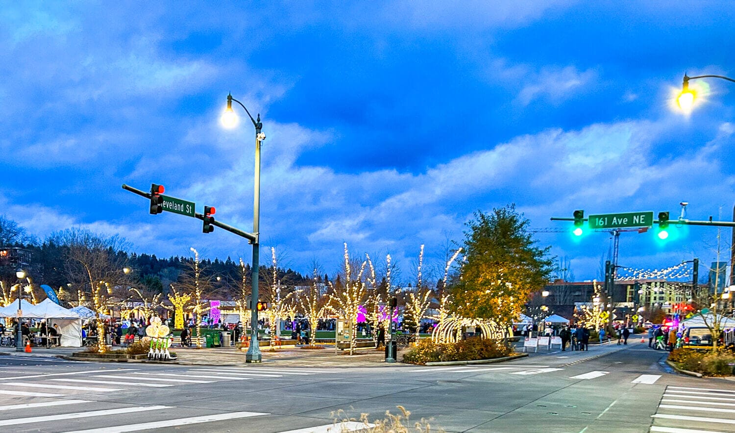 Redmond Downtown Holiday Lights at Downtown Park transform the area into a winter wonderland, making it a must-visit kid-friendly holiday destination. Families can stroll through dazzling light displays, featuring twinkling trees, festive tunnels, and glowing decorations that create a magical atmosphere.