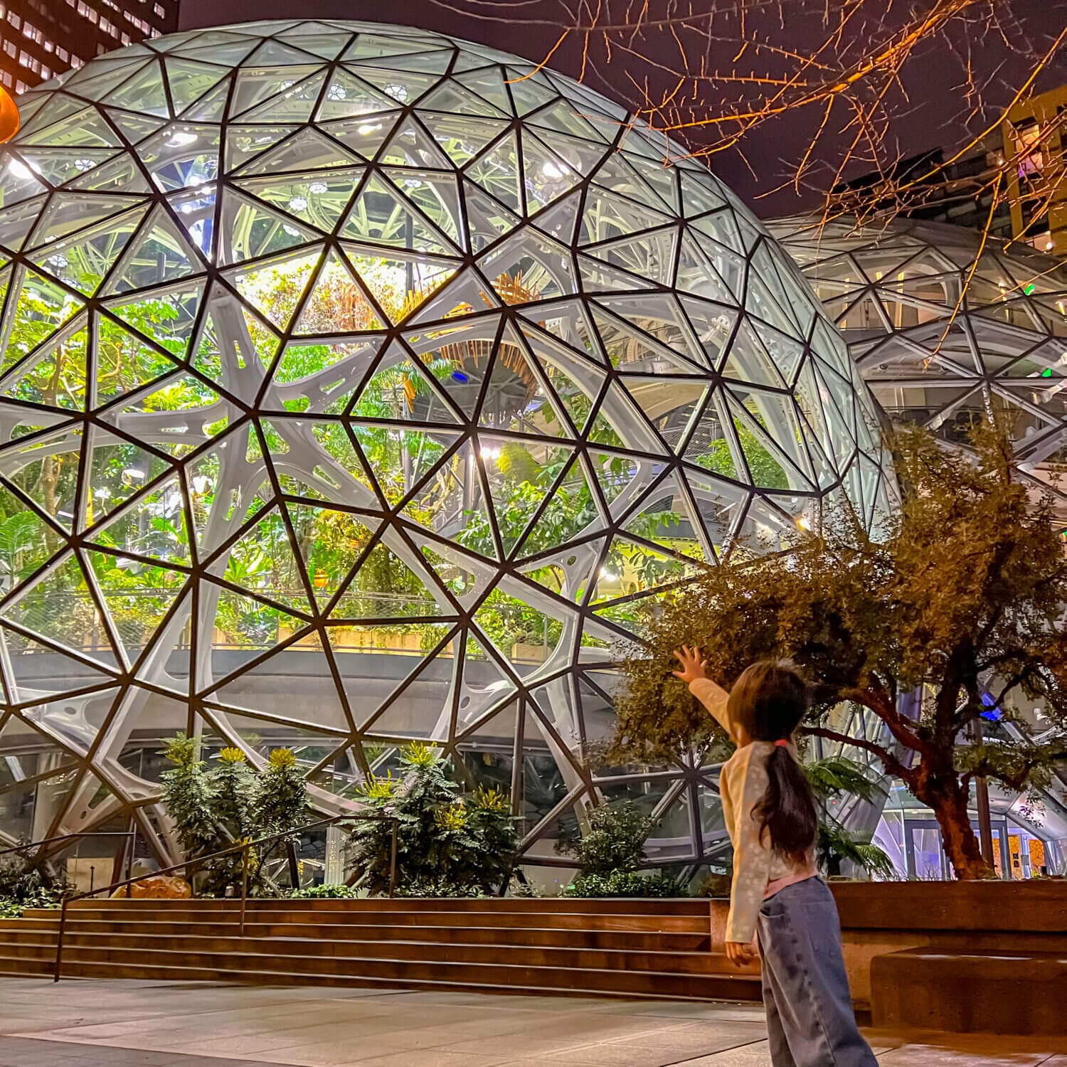 Toddler girl visiting Seattle at night, reaching her arm towards the illuminated Amazon Spheres outside.