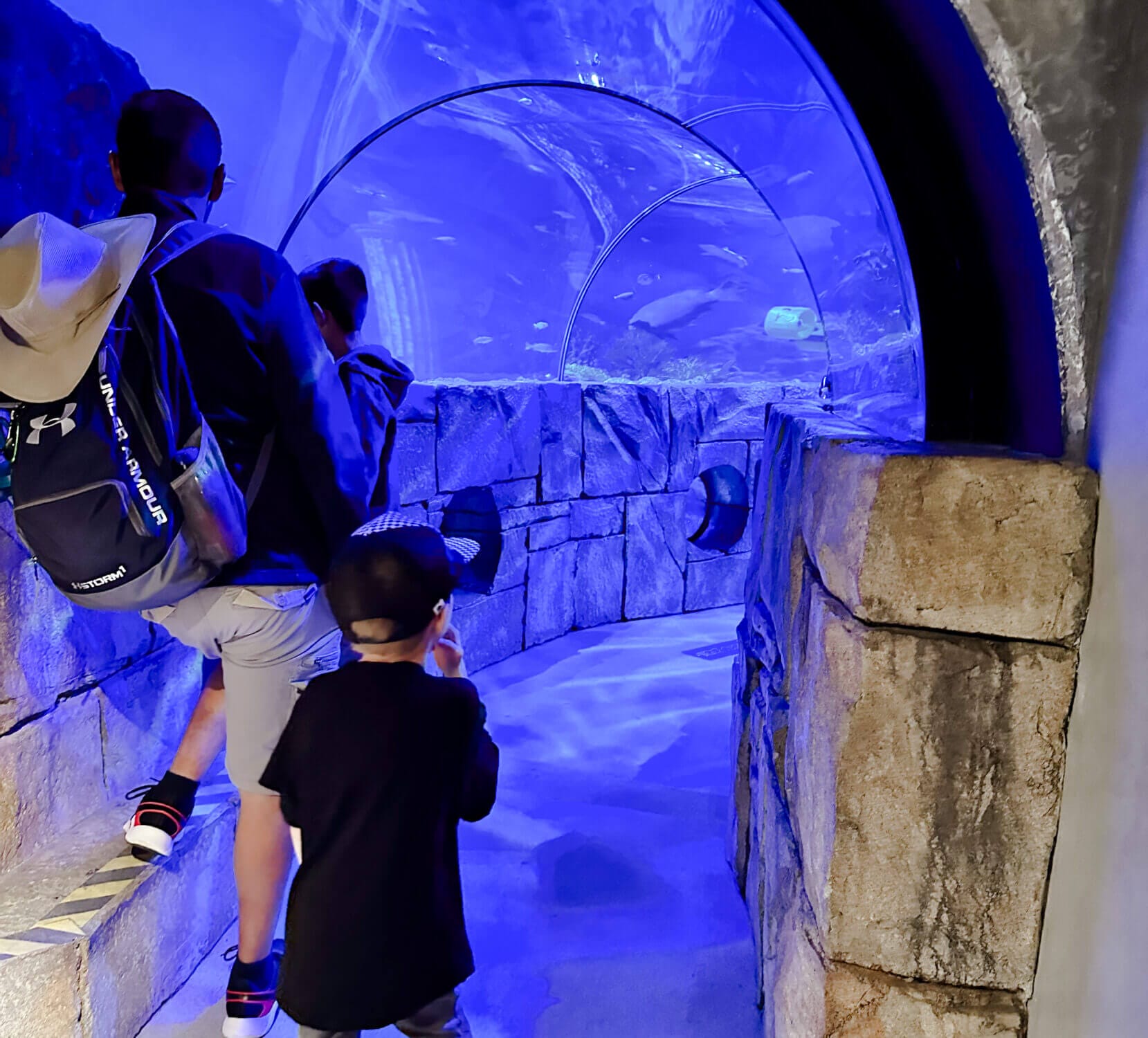 Guests prepare to walk through the impressive shark tunnel at the SEA LIFE Aquarium in LEGOLAND California, where sharks and rays swim overhead in a mesmerizing underwater display. This immersive experience is a highlight for families visiting the park, offering a close-up look at marine life and a thrilling yet educational adventure for kids.