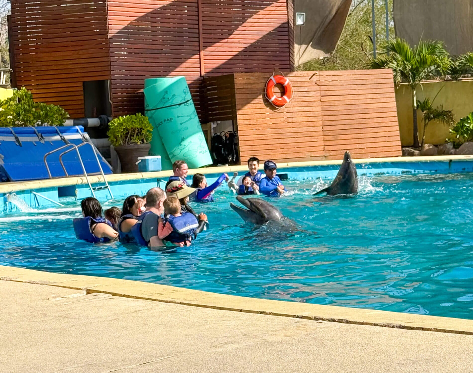 Four families with young children enjoy an unforgettable experience swimming with dolphins in Puerto Vallarta, Mexico. As part of the Dolphin Adventure package by Vallarta Adventures, the group interacts with friendly dolphins in a safe, guided setting. This popular family excursion offers hands-on fun, educational insights, and lasting memories, making it a must-do activity for those visiting Puerto Vallarta with kids.