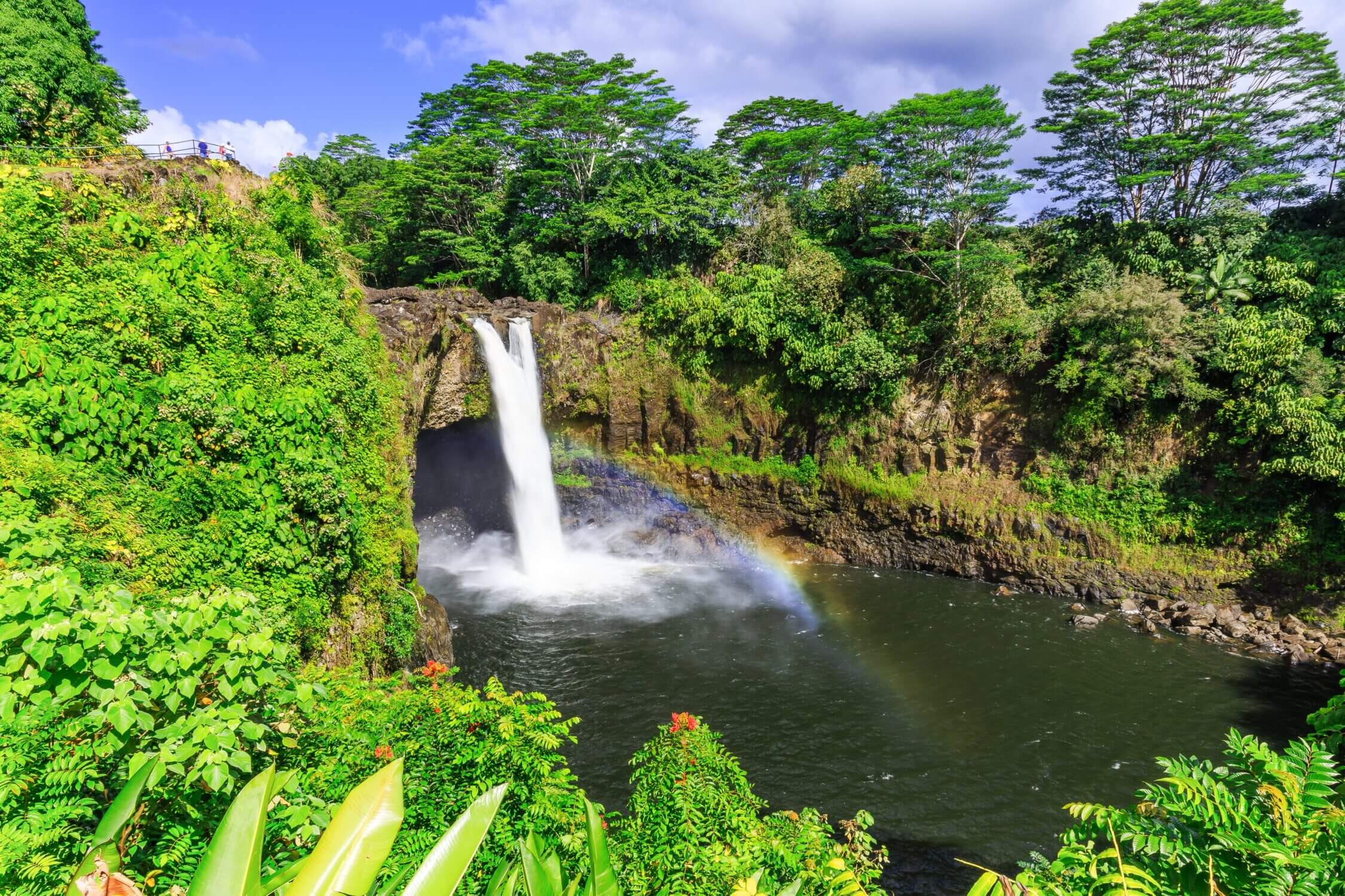 Rainbow Falls in Hilo, located in Wailuku River State Park on the Big Island of Hawaii. This stunning 80-foot waterfall is surrounded by lush tropical greenery and is easily accessible, making it a great stop for families with kids. Known for the rainbows that often appear in the morning mist, it’s one of the most popular and scenic spots to visit in Hilo.